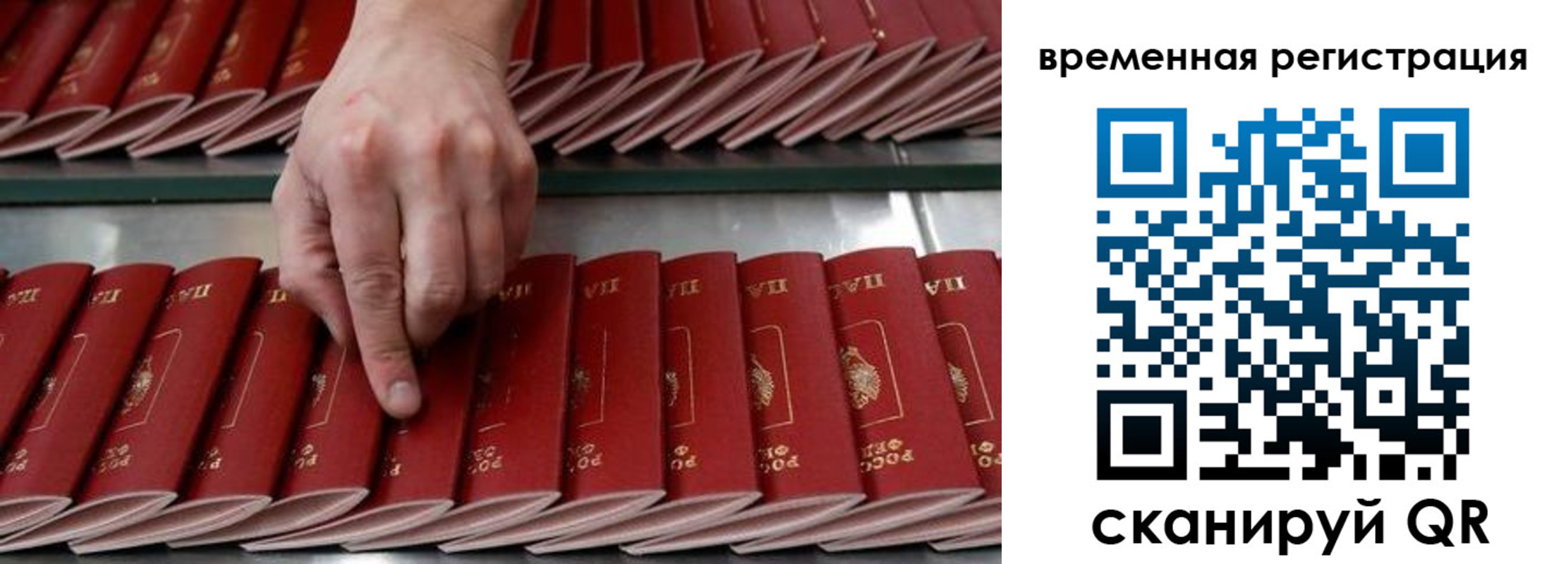 временная регистрация в квартире в Сольцах
